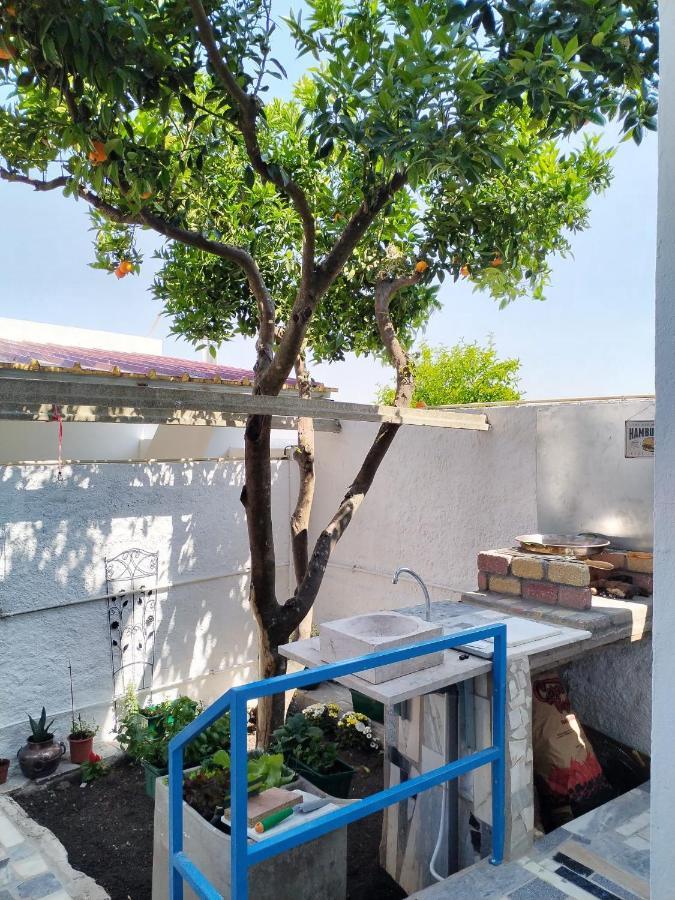 Casa Da Laranjeira Apartman Montargil Kültér fotó