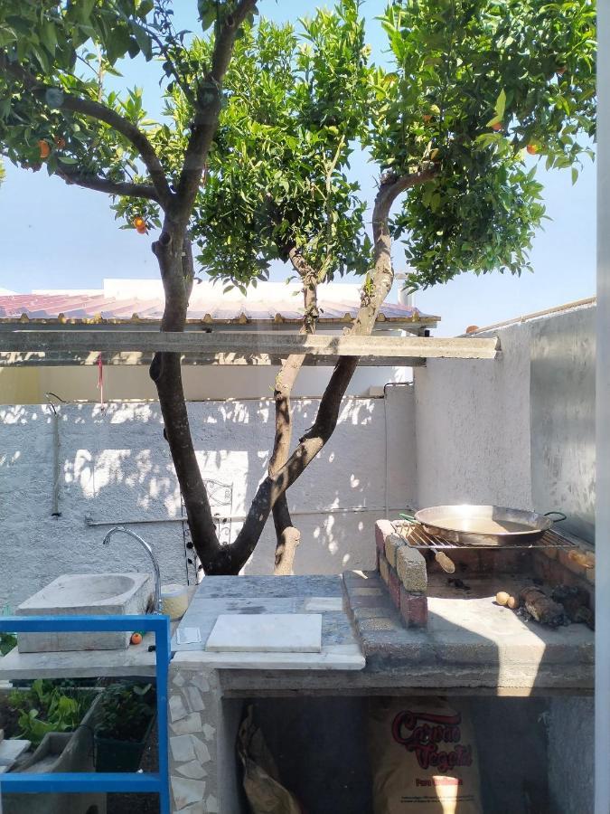 Casa Da Laranjeira Apartman Montargil Kültér fotó